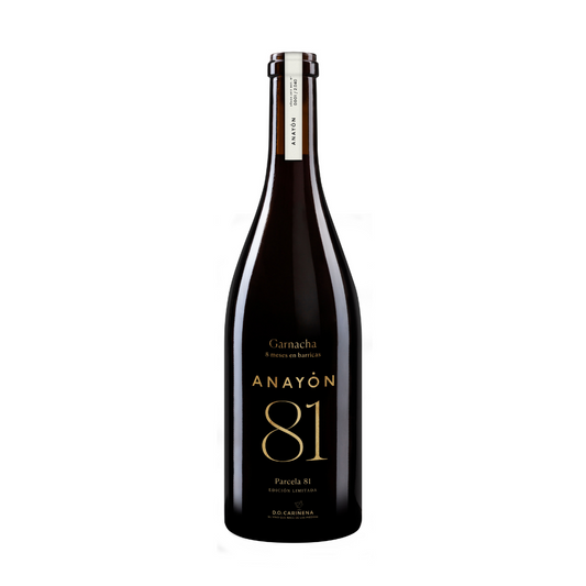 Anayón Parcela 81